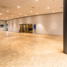 Foyer in front of  Hall Europa